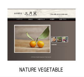 NATURE VEGETABLE　自然野菜のショップイメージ